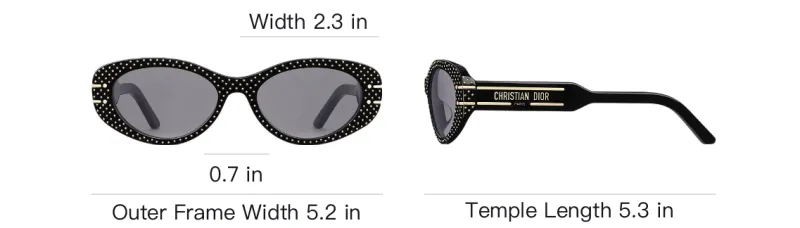 DIOR Acetate Oval Sunglasses Women's Black-3