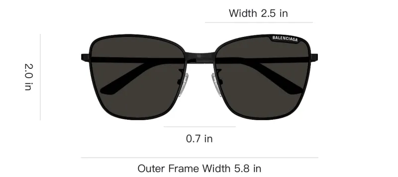 Balenciaga Butterfly frame Sunglasses-2