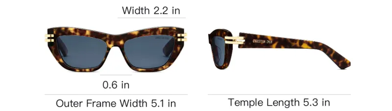 DIOR Butterfly Frame Sunglasses-3
