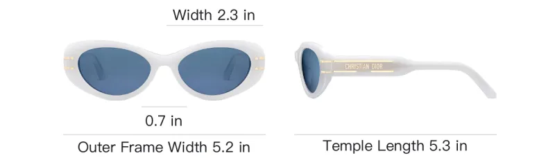 DIOR Acetate Oval Sunglasses Women's Beige-3
