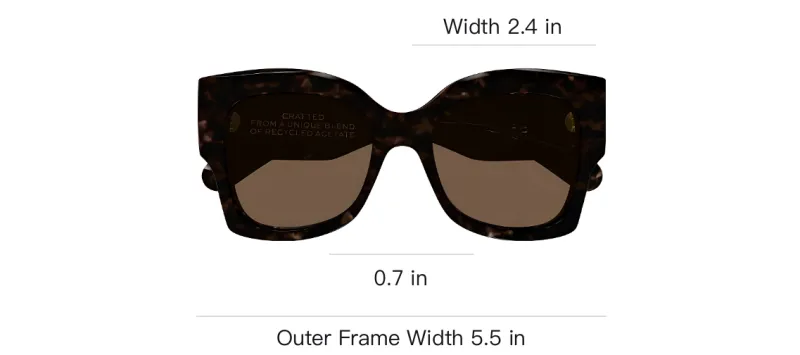 Chloe Acetate Irregular Shape Sunglasses Unisex Tortoiseshell-2