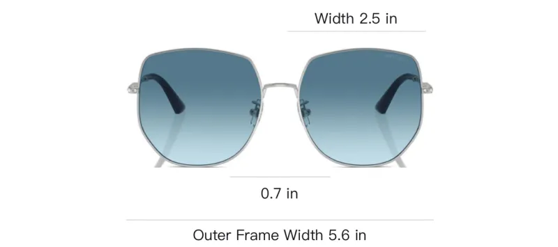 Jimmy Choo Aviator Sunglasses-2