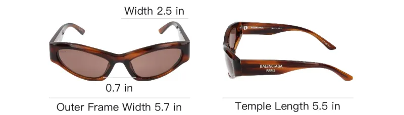 Balenciaga Cat Eye Frame Sunglasses-3