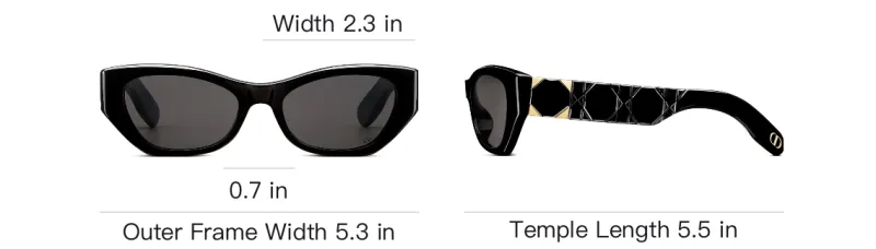 DIOR Acetate Butterfly Sunglasses Women's Black-4