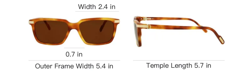 CARTIER Irregular Shape Sunglasses Men's Tortoiseshell-4