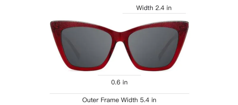 Jimmy Choo Lucine Cat eye Sunglasses-3