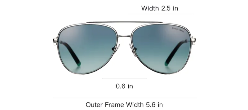 TIFFANY & CO. Metal Enamel Aviator Sunglasses Unisex Silver-3