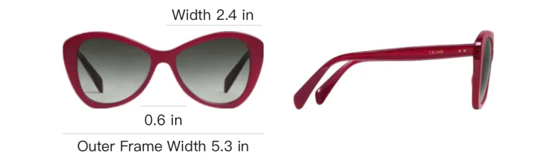 CELINE Acetate Butterfly Sunglasses Women's Red-3