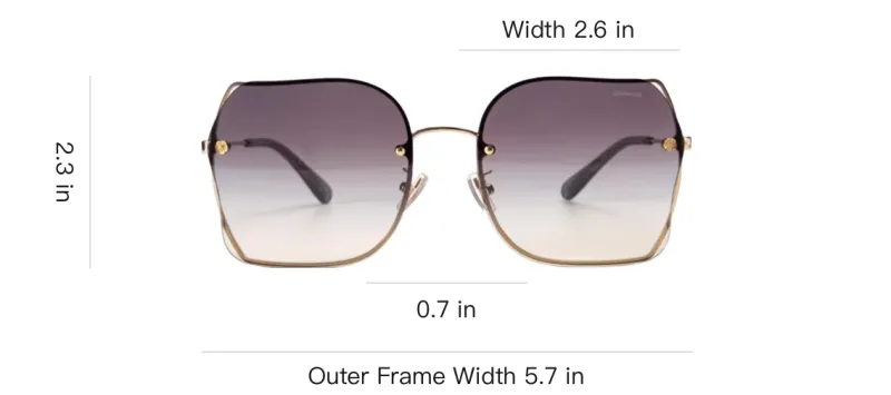 COACH Alloy Square Sunglasses Unisex Gold-4