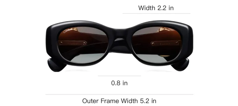 CARTIER Plate Irregular Shape Sunglasses Unisex Black-2