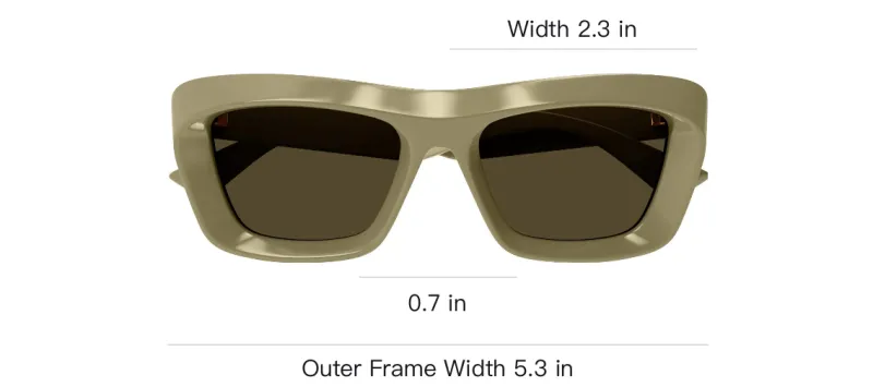 Bottega Veneta Classic Cat Eye Frame Sunglasses-2
