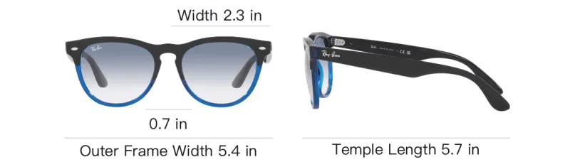 RayBan Plastic Oval Sunglasses Unisex Black-5