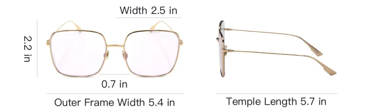 DIOR Injection Molded Square Sun Eye Women's Pink-6