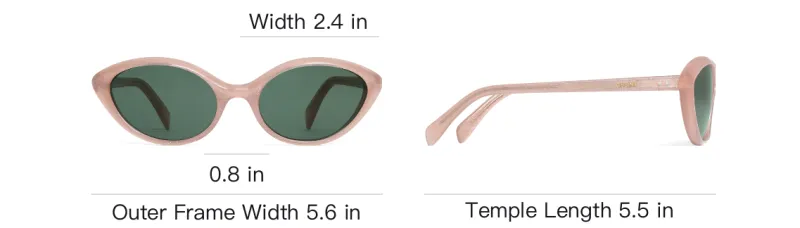 CELINE Cat Eye Sunglasses-3