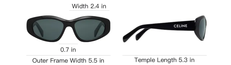 CELINE Monochroms 07 Sunglasses In Acetate-3