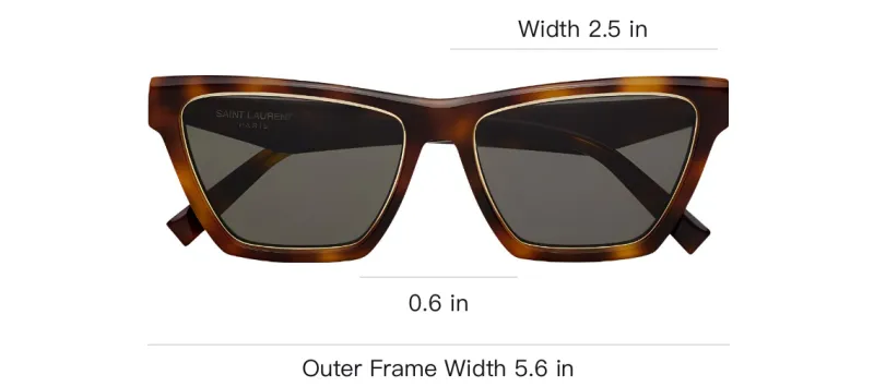 SAINT LAURENT Sl M103 Cat Eye Sunglasses-3