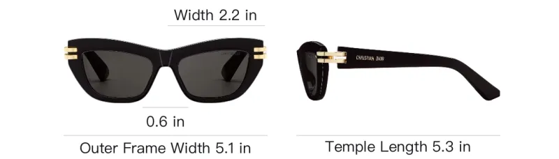 DIOR Butterfly Frame Sunglasses-3