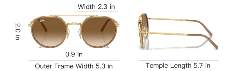 RayBan Irregular Frame Sunglasses-6