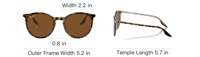 RayBan Round Frame Sunglasses-3