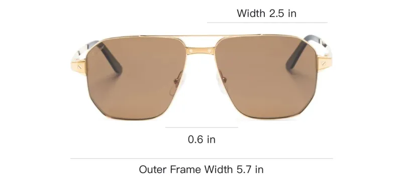 Cartier Aviator Frame Sunglasses-2
