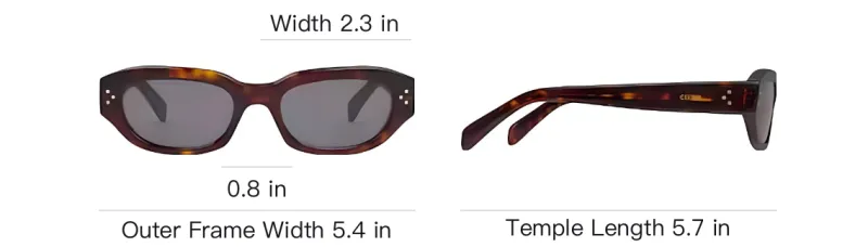 CELINE Black Frame 58 Sunglasses In Acetate-3