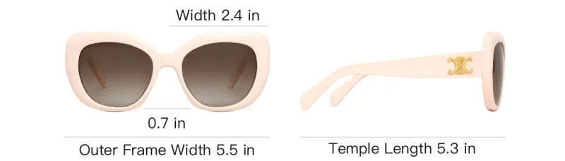 CELINE Triomphe 06 Sunglasses In Acetate-3