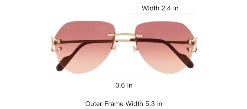 Cartier Tinted Pilot frame Sunglasses-2