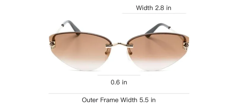 Cartier Eyewear Tiger Head-plaque Cat Eye-frame Sunglasses-2