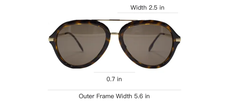 Burberry Sunglasses Men-3