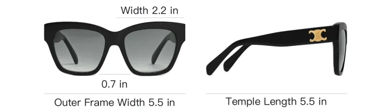 CELINE Triomphe 09 Sunglasses In Acetate-3