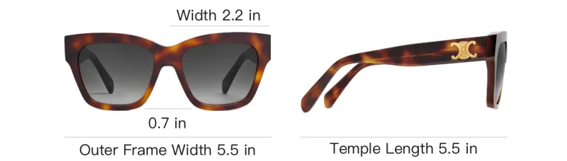 CELINE Triomphe 09 Sunglasses In Acetate-3