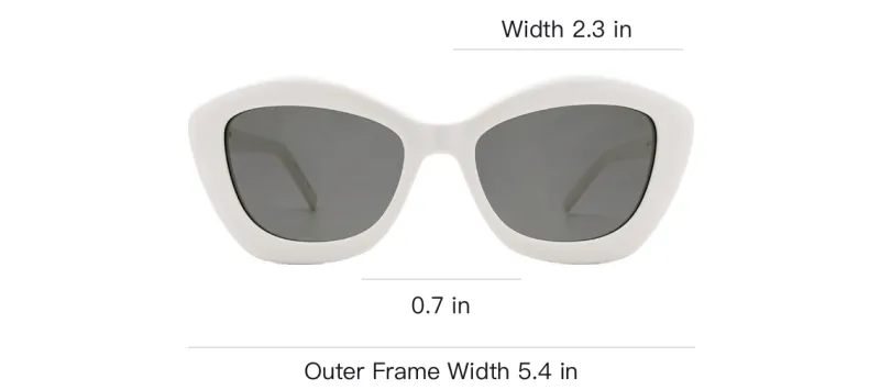 SAINT LAURENT Cat Eye Frame Acetate Sunglasses-3