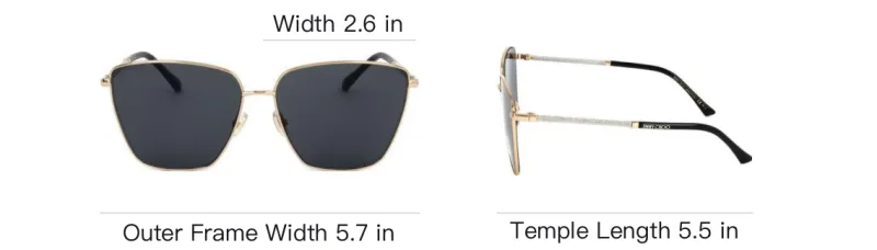 Jimmy Choo Lavi Square Frame Sunglasses-3