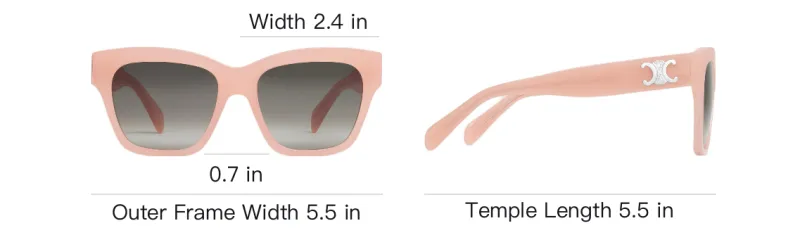 CELINE Triomphe 09 Sunglasses In Acetate-3