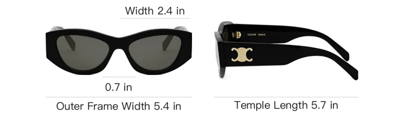 CELINE Triomphe Cat Eye Sunglasses-3