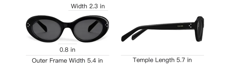 CELINE Cat Eye S193 Sunglasses In Acetate-3
