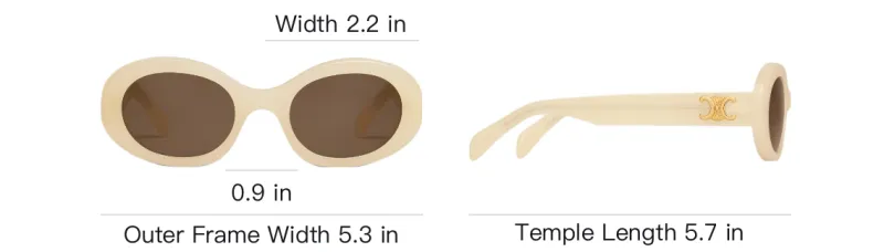 CELINE Triomphe 01 Sunglasses In Acetate-3