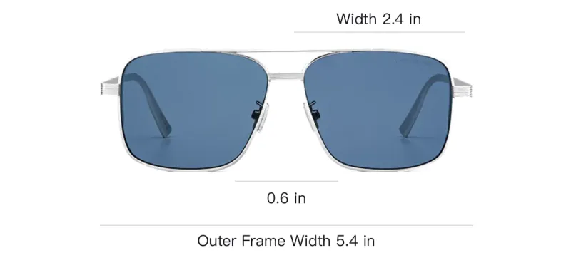CELINE Cat Eye Frame Sunglasses-3