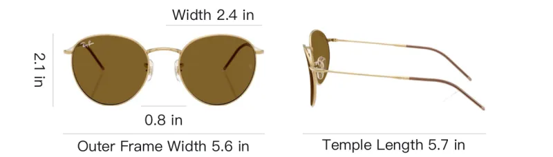 RayBan Round Reverse Sunglasses-3