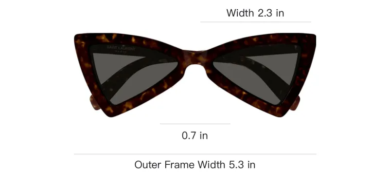 SAINT LAURENT Jerry Cat Eye Frame Sunglasses-2