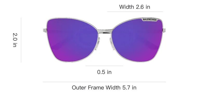 Balenciaga Butterfly Frame Eyewear Sunglasses-2