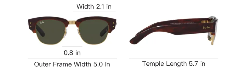 RayBan Injection-Molded Irregular Shape Sunglasses Unisex Brown-3