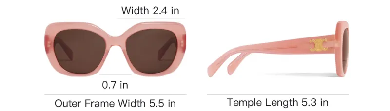 CELINE Butterfly Frame Sunglasses-3