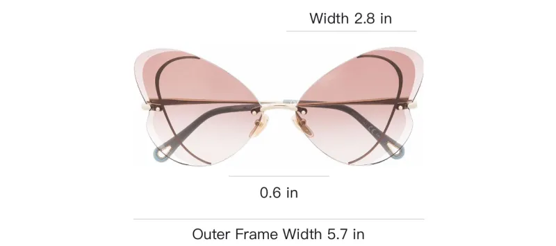 Chloe Cat Eye Frame Metal Sunglasses-2