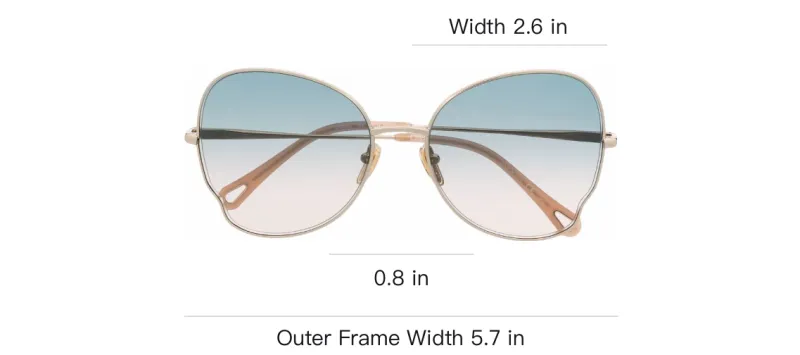 Chloé Cat eye Gradient lense Sunglasses-2