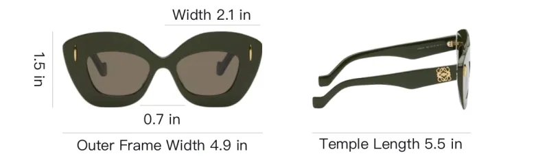 LOEWE Cat Eye Sunglasses Men's Dark Green-5