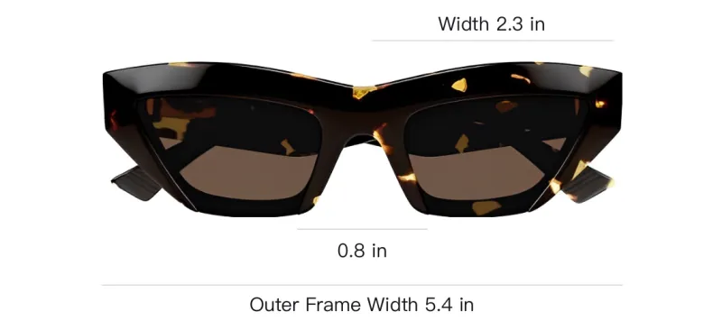 Bottega Veneta Cat Eye Frame Sunglasses-5