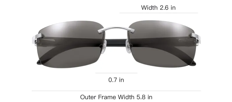 CARTIER Horn Irregular Shape Sunglasses Unisex Black-2