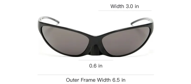 Balenciaga Cat Eye Sunglasses-2
