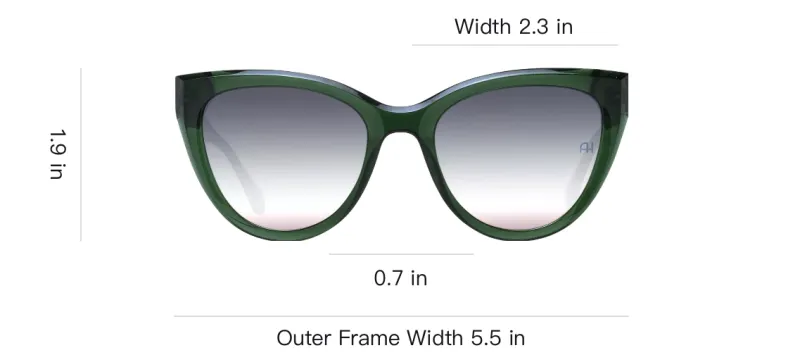 Ana Hickmann Acetate Plastic Cat Eye Sunglasses Women's Green-3